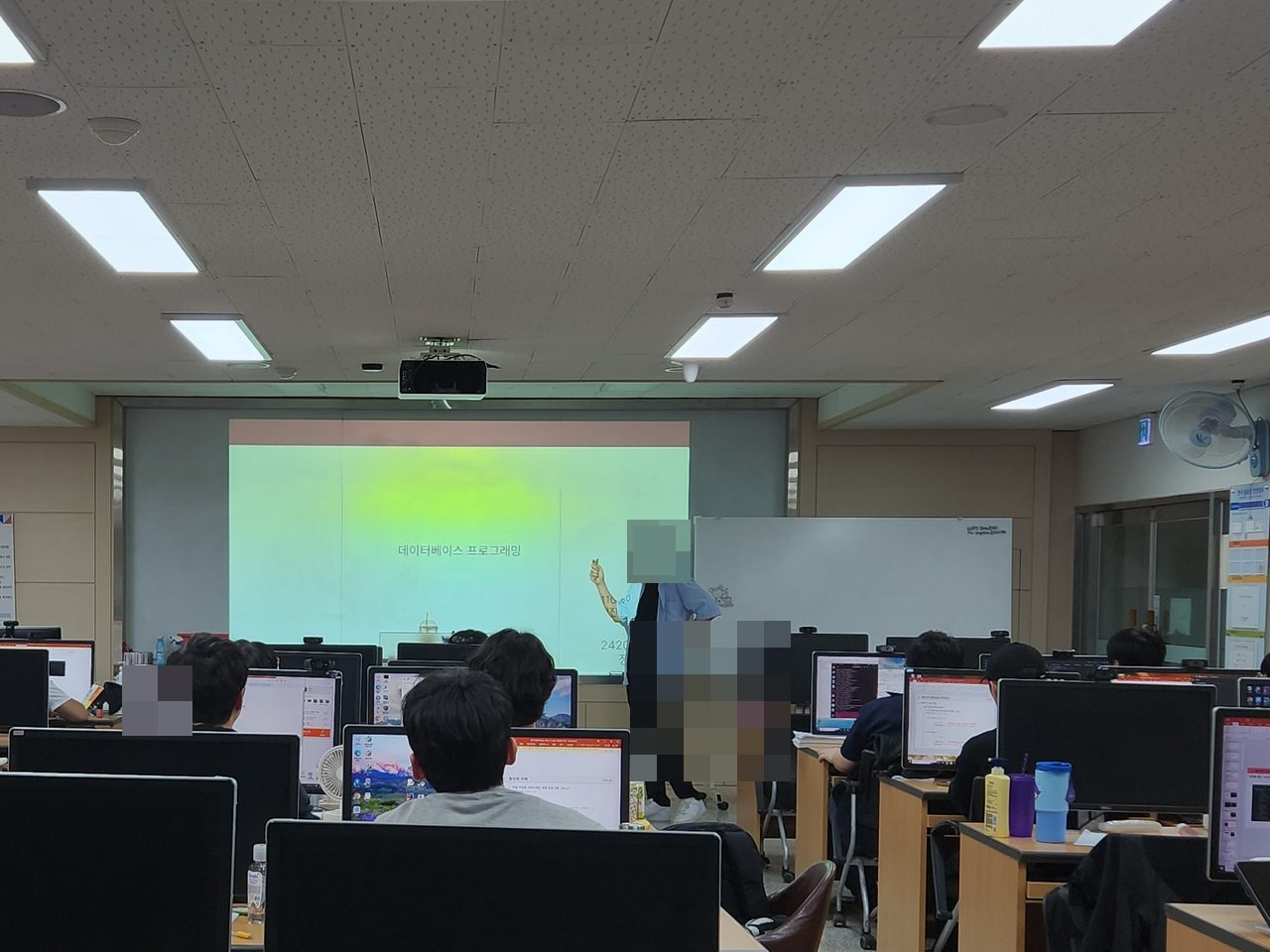 ‍ 선배가 알려주는 실전 프로그래밍! Spring Boot & MariaDB 멘토링 진행 활동 사진(자동 얼굴 모자이크 적용)